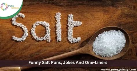 295 Funny Salt Puns Jokes And One Liners