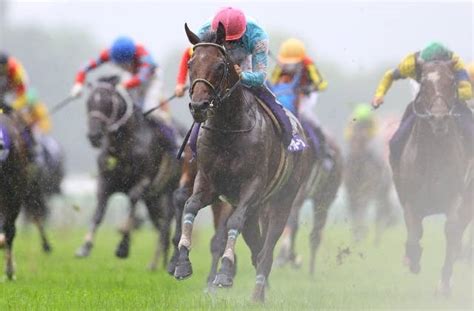 ローレルリバー（laurel River） 競馬データベース Jra Van World 海外競馬情報サイト