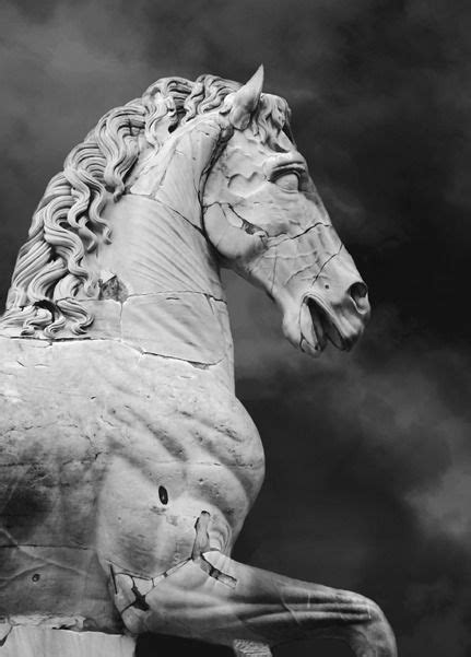 Roman Horse Sculpture On The Stepps Of The Capatali Musium Horse