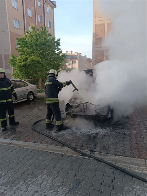 Boluda Yang N Pani I Park Halindeki Ara Alev Alev Yand Bolu Olay