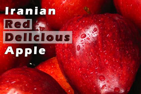 Most Popular Apple Varieties | 10 Different Types of Apple | EXIM Asian