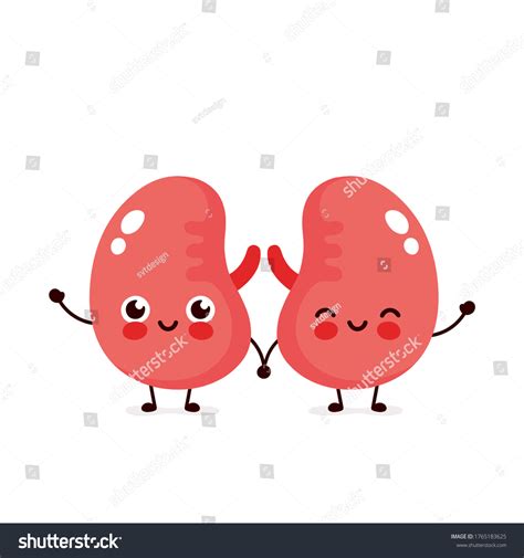 3,182 Child Kidney Images, Stock Photos & Vectors | Shutterstock