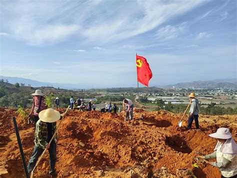 黄瓜园镇：“党建红”引领“生态绿”，绘就生态 发展新画卷 元谋县人民政府