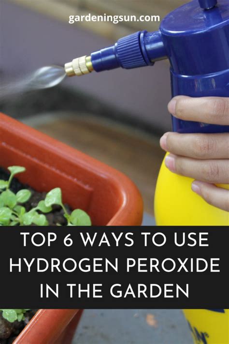 Top Ways To Use Hydrogen Peroxide In The Garden Gardening Sun