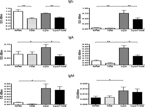 figure   mincle  human  cell function semantic scholar