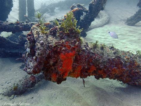 Hms Maori Scuba Diving At A Ww2 Wreck Through The Lens Of Leonidas