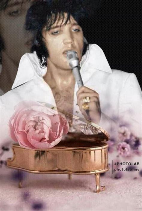 Pin By Kellyann On Catlorer1 Elvis Elvis Presley Fan Art