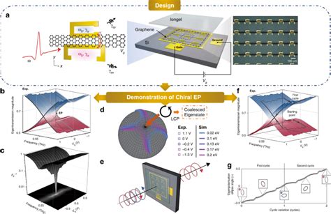 Graphene Metasurface Hits The Point Light Science Applications X Mol