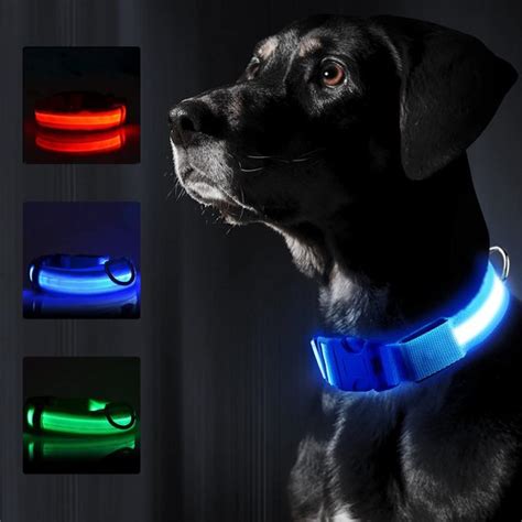 Glow Collier Pour Chien Collier Lumineux Collier Pour Chien