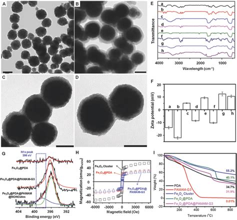 Tem Image Of A Fe O Clusters B Coreshell Fe O Pda Nanocomposites