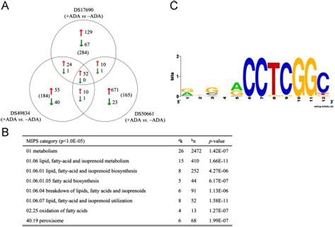 Transcriptome Analysis Of P Chrysogenum Strains Ds17690 Ds49834