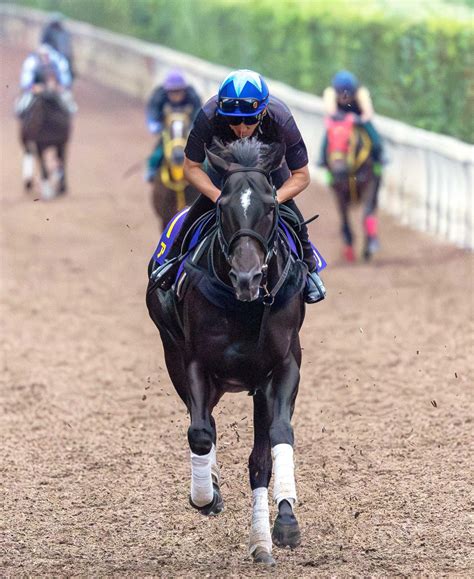 【スプリンターズs】アグリ 短距離馬王国の貫禄仕上げ 来年定年の安田隆師が最後のスプリントg1へ 競馬ニュース Netkeiba