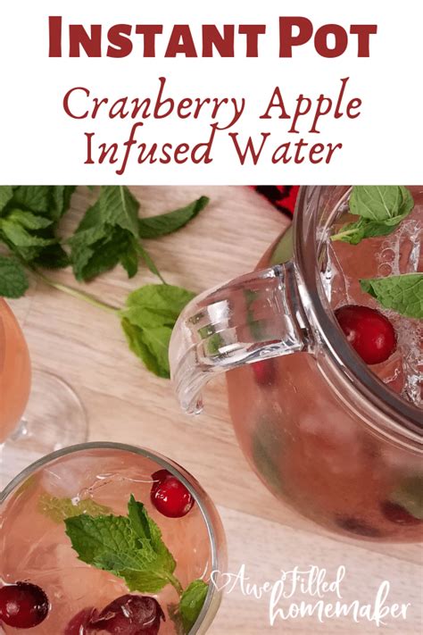 Instant Pot Cranberry Apple Infused Water Recipe Apple Cranberry