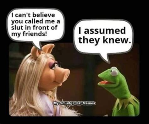 Pin By Jerry Mattingly On Humor Dirty Mind Quotes Kermit Funny Memes