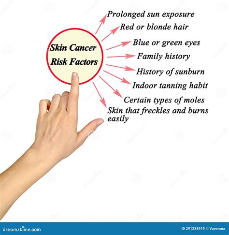 Skin Cancer Risk Factors Stock Image Image Of Pointing 291288919