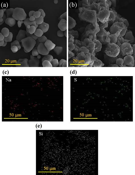 Sem Micrographs Of The A Unmodified Starch And B Hybrid Hydrogel Based