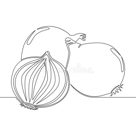 Onion In Continuous Line Art Drawing Style Onion Whole Bulb And Leaves