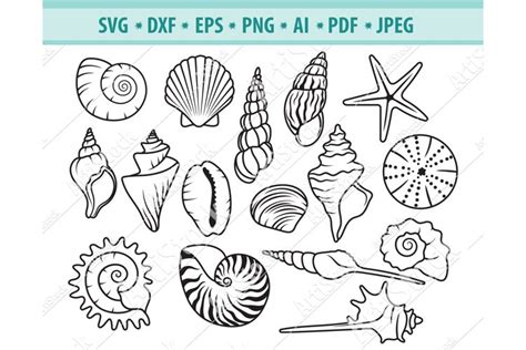 Seashells Svg Shell Clipart Marine Life Svg Dxf Eps Png