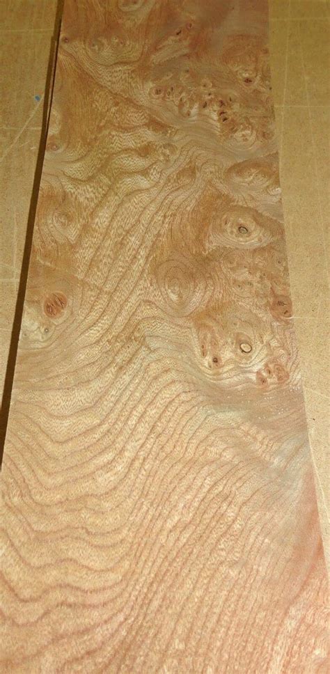 Elm Carpathian Burl Wood Veneer X Raw No Backing A Grade