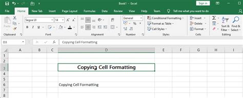 Copying Cell Formatting Ms Excel Tutorial