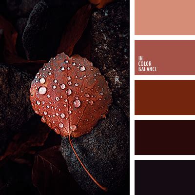 монохром | IN COLOR BALANCE