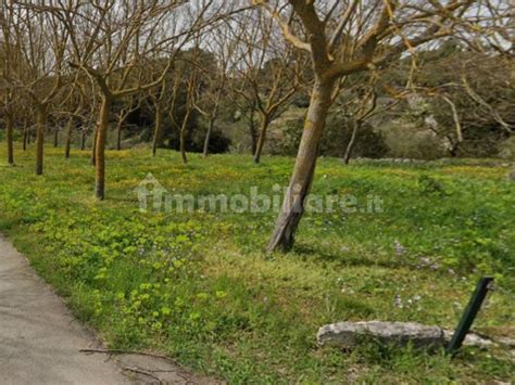 Asta Per Terreno Agricolo Via Stefano Da Putignano Putignano Rif