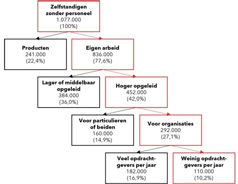 De Economische En Maatschappelijke Waarde Van Zelfstandig Professionals