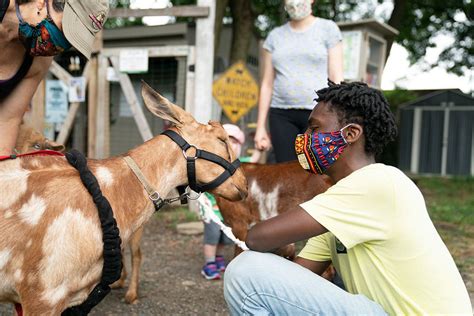 Philly Goat Project Education Therapy And Community 6336 Ardleigh