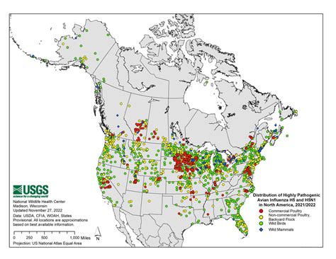 H5N1 Compiled By Betty C Jung