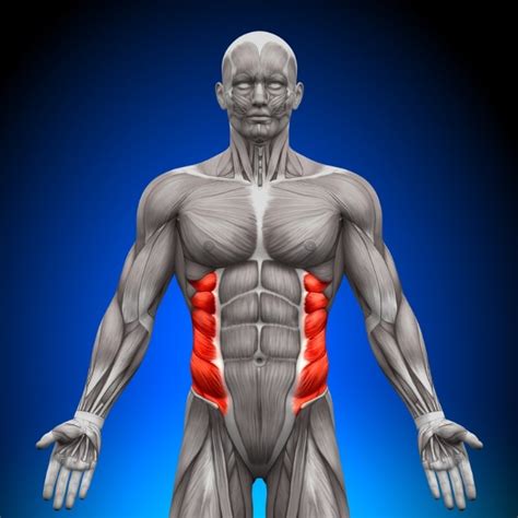 Understanding Oblique Strain