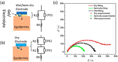 Insight Into The Contact Impedance Between The Electrode And The Skin