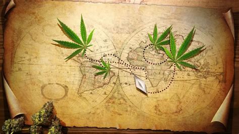 A Brief History Of Cannabis Consumption EarthMed