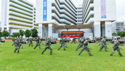 坪山区石井街道开展2023年军事化轮训（一期）成果汇报展示 深圳政府在线深圳市人民政府门户网站