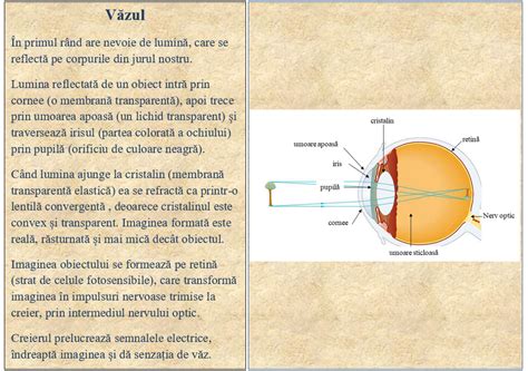 Iii Sintez Recapitulativ Reflexia Total Lentile Ochiul Uman