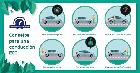 Cómo Conducir De Forma Eco