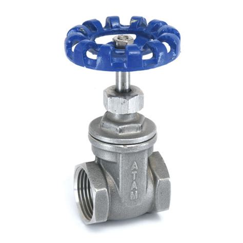 Stainless Steel Gate Valve At Best Price In Delhi S S Equipment