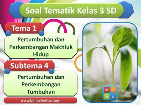 Power Point Ppt Soal Tema 1 Kelas 3 Sd Subtema 4 Pertumbuhan Dan Perkembangan Tumbuhan