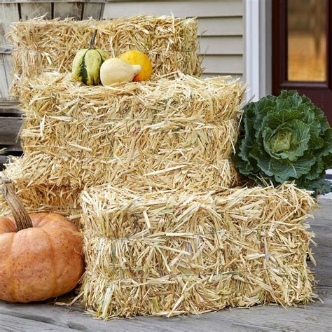 Straw Bale