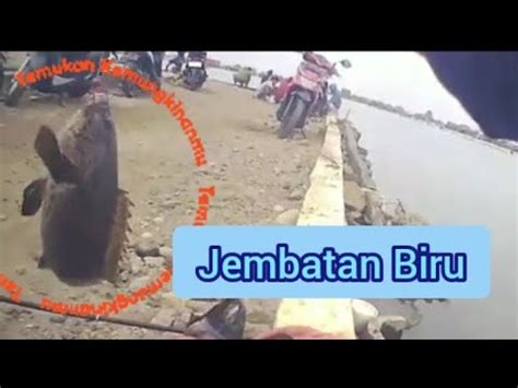 Selalu Ada Strike Di Spot Ini Mancing Ikan Rucah Di Jembatan Biru