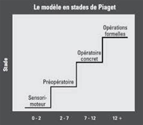 CM1 Développement S4 Cartes Quizlet