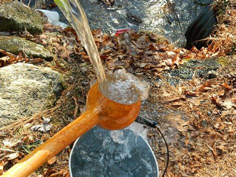 Gourd Water Dipper For That First Sip Of The Freshest Water On Earth