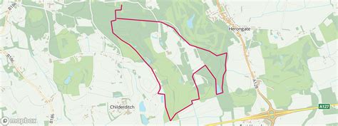 Thorndon Park Brentwood Essex Dog Walks Near Me