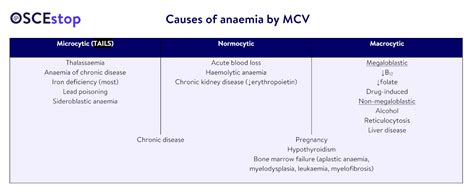 Interpretation Of The Full Blood Count Oscestop Osce Learning