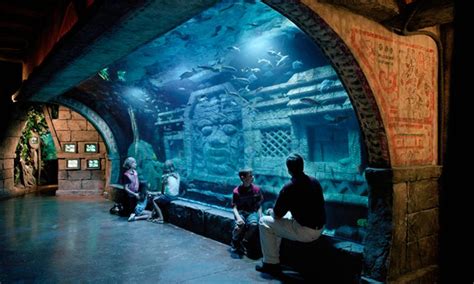 Acuario En Houston Downtown Aquarium