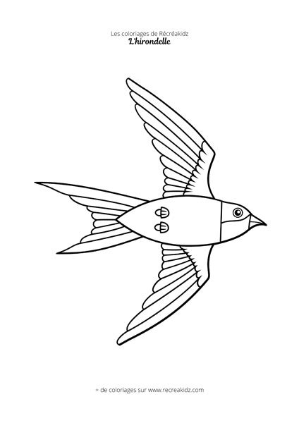 Coloriage Hirondelle Imprimer Pdf Dessin D Hirondelle Colorier