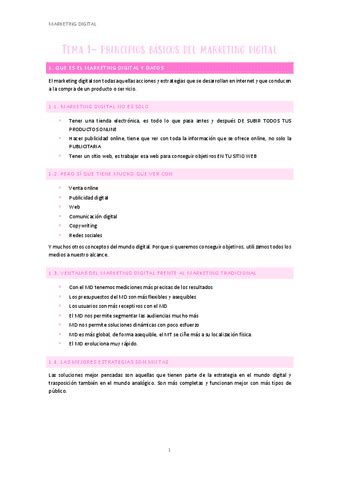 Tema Principios Basicos Del Marketing Digital Pdf