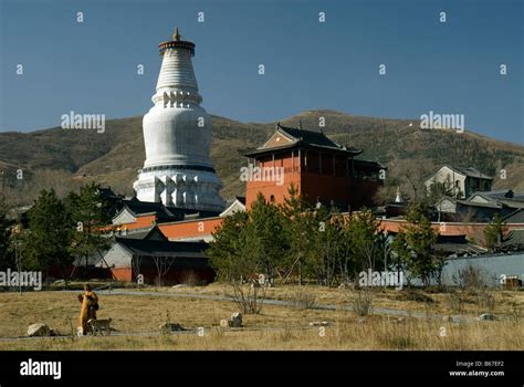 Tayuan Temple and Great White Pagoda at Wutaishan , Shanxi , China Stock Photo - Alamy