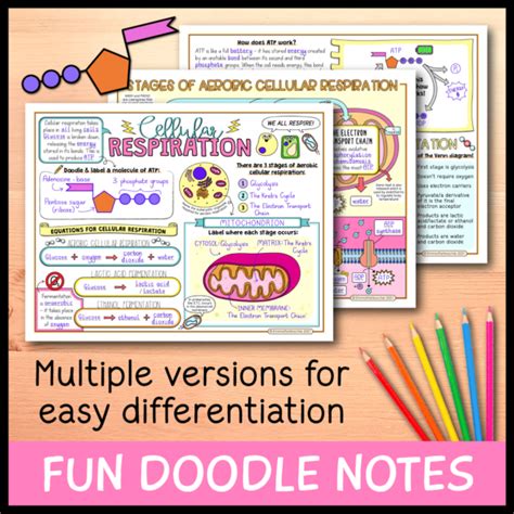 Cellular Respiration Lesson Emmatheteachie Resources