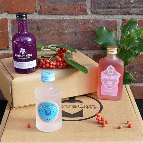 Rhubarb Flavoured Gins Tasting Gift Set I Love Gin