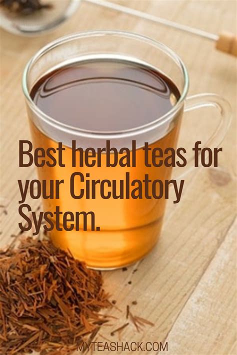 Best Herbal Teas For Your Circulatory Systemupgraded My Tea Shack